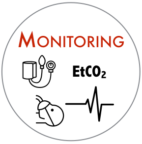 sedation monitoring
