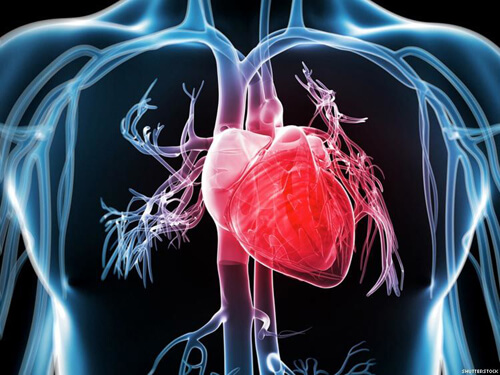 Dental considerations in cardiovascular patients