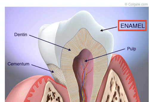 enamel